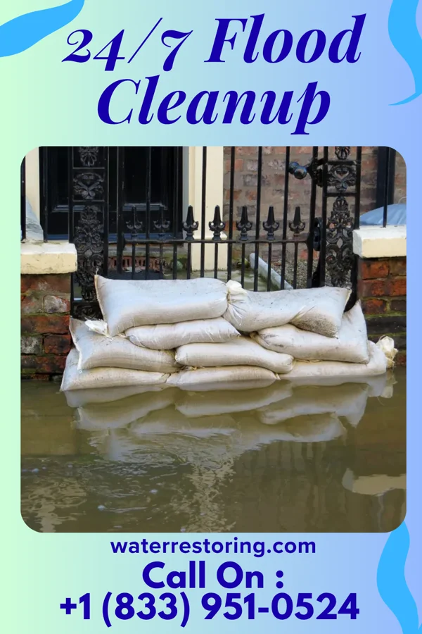 24/7 Flood Cleanup in Du Bois, NE