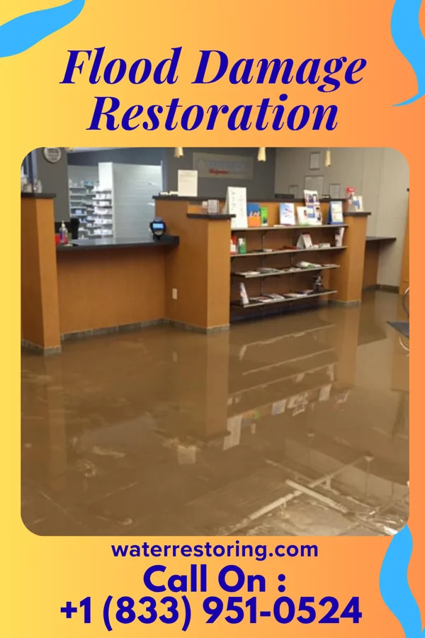 Flood Damage Restoration in Du Bois, NE